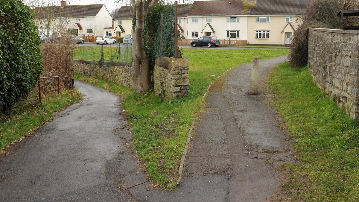 A footpath forking in two in a residential area